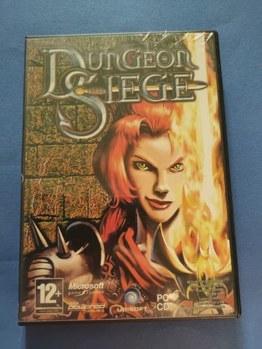 Dungeon siege gioco - dungeon,